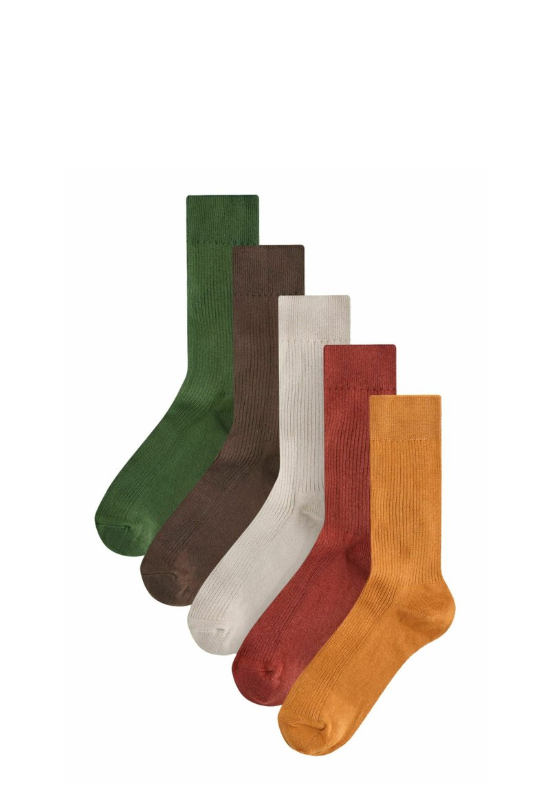 Next 5 PACK REGULAR FIT - Ponožky - red green brown