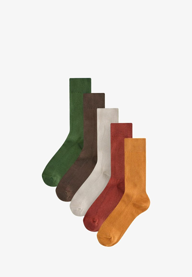 Next 5 PACK REGULAR FIT - Șosete - red green brown