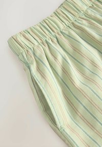 Shorts vert clair avec des rayures verticales bleues et roses. Taille élastique et texture de tissu douce. Coupe décontractée sans détails supplémentaires.