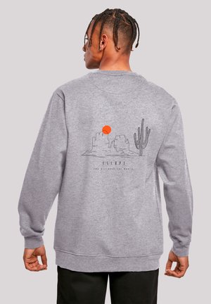 Man with braided hair wearing gray sweatshirt with desert landscape, cactus, and orange sun graphic on the back, facing away.