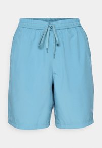 Ikke valgt, smoky blue hydrangeas