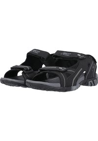 Cruz Vaellussandaalit - black