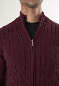 Burgunderfarbener Kabelstrickpullover mit hohem Kragen und Reißverschluss. Hergestellt aus strukturiertem Strickstoff. Zu den Details gehören auffällige Kabelmuster.