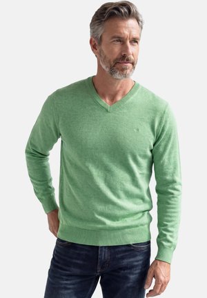 Mann mit grauem Haar und Bart, trägt einen hellgrünen V-Ausschnitt-Pullover und dunkelblaue Jeans, steht mit einer Hand in der Tasche.