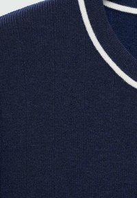 Tessuto a maglia rigata blu navy con una superficie liscia, caratterizzato da un colletto a strisce bianche. Vista ravvicinata che mette in risalto le cuciture e la qualità del tessuto.