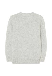 Helles graues Strickpullover mit langen Ärmeln, geripptem Rundhalsausschnitt, Bündchen und Saum, von hinten auf einem weißen Hintergrund gezeigt.