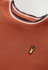 Pull en maille couleur rouille avec un motif texturé, doté d'un col rond et de bordures rayées bleu marine et blanc, agrémenté d'un écusson de homard jaune.