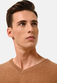 V-ringad tröja i en mjuk, varm brun färg, tillverkad av ett texturerat material. Har en avslappnad passform med synlig stickad detalj vid halsringningen.