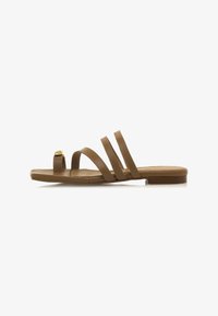 No seleccionado, camel