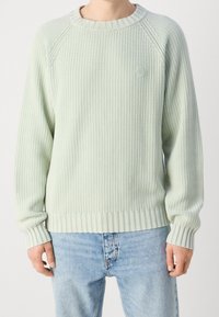 Maglione lavorato a maglia verde chiaro con texture a coste, collo rotondo e polsini e orlo a coste. Piccolo logo sulla parte del petto. Indossato con jeans azzurri.