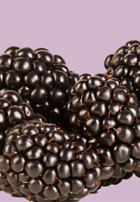 Brombeeren, die zusammengeclustered sind und eine glänzende, schwarze Oberfläche mit kleinen, orange-roten Stielen aufweisen. Der Hintergrund ist in einem sanften Lila.