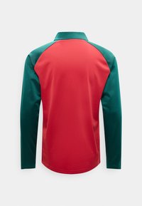 Marškiniai ilgomis rankovėmis, raudonu nugaros paneliu ir žaliomis rankovėmis bei apykakle, rodoma iš nugaros ant vienspalvio balto fono.