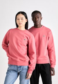 Világos rózsaszín pulóverek, puha anyagból, bordázott mandzsettával és derékrésszel. Mindegyiken egy kis zöld logó található a mellkasnál.