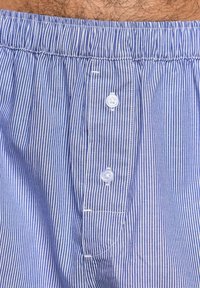 Blå och vita vertikalt randiga herrboxershorts med elastisk midja och två vita knappar på framfickan.