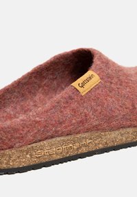 Primo piano di una scarpa slip-on rossa in feltro con suola in sughero, impressa con la scritta "Stegmann" e un piccolo cartellino giallo con l'etichetta "Gottstein."