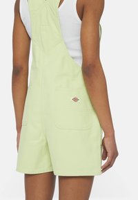 Dickies DUCK BIB  - Salopette - stone washed pale green