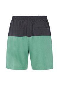 Protest PRTHELI - Shorts da mare - frosty green