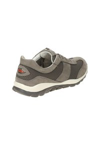 Grijze sportieve schoen met suède en mesh materialen, een ronde neus en een gemerkte zool met demping. Opvallend logo op de hak.