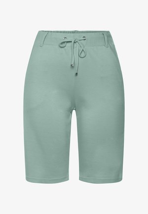 Pantalones cortos verde menta fabricados en un tejido suave. Presentan una cinturilla elástica con cordón, herrajes plateados y un corte hasta la rodilla.