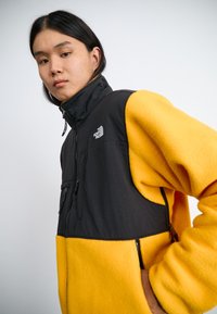 The North Face M RETRO DENALI JACKET - Fleecejacka - summit gold/black