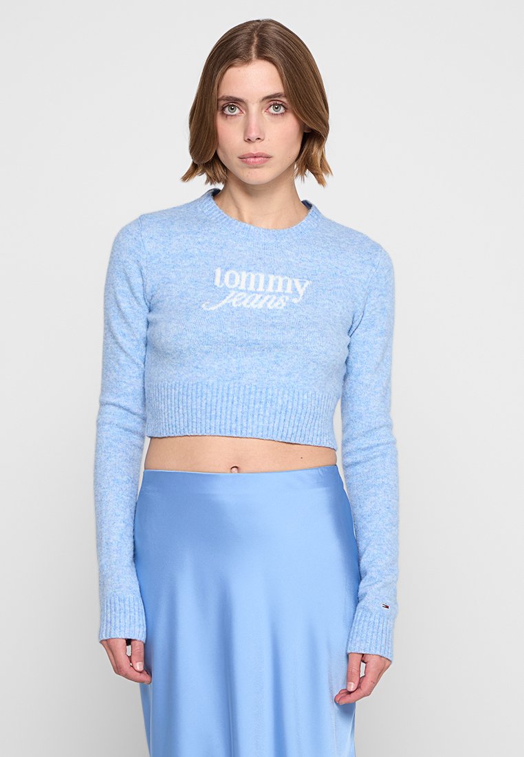 Tommy Jeans Trui blauw