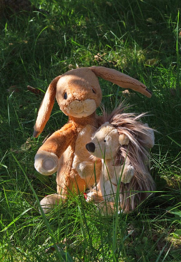 Kuscheltier – braun