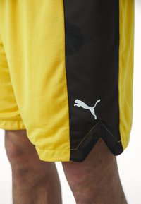Pantalones cortos deportivos amarillos con textura de malla, con un panel lateral negro y un logotipo blanco de Puma. El dobladillo tiene un diseño de zigzag.