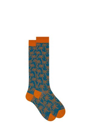 Knee high socks - azzurro