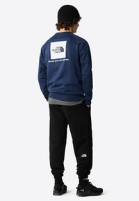 The North Face RAGLAN CREW - Felpa - summit navy