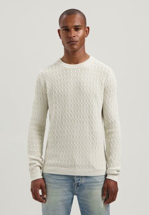 Gebreide pullovertrui in lichtroom met een textuurpatroon, ronde halslijn en geribde manchetten, gecombineerd met lichtblauwe jeans.