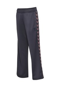 Ciemnoszare spodnie sportowe z elastycznym pasem, różowo-czarnym wzorem w jodełkę po bokach oraz małym logo na lewej udzie.