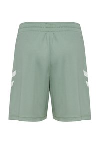 Lysegrønne atletikshorts med elastisk talje og hvide skrå striber på hver side, vist bagfra.