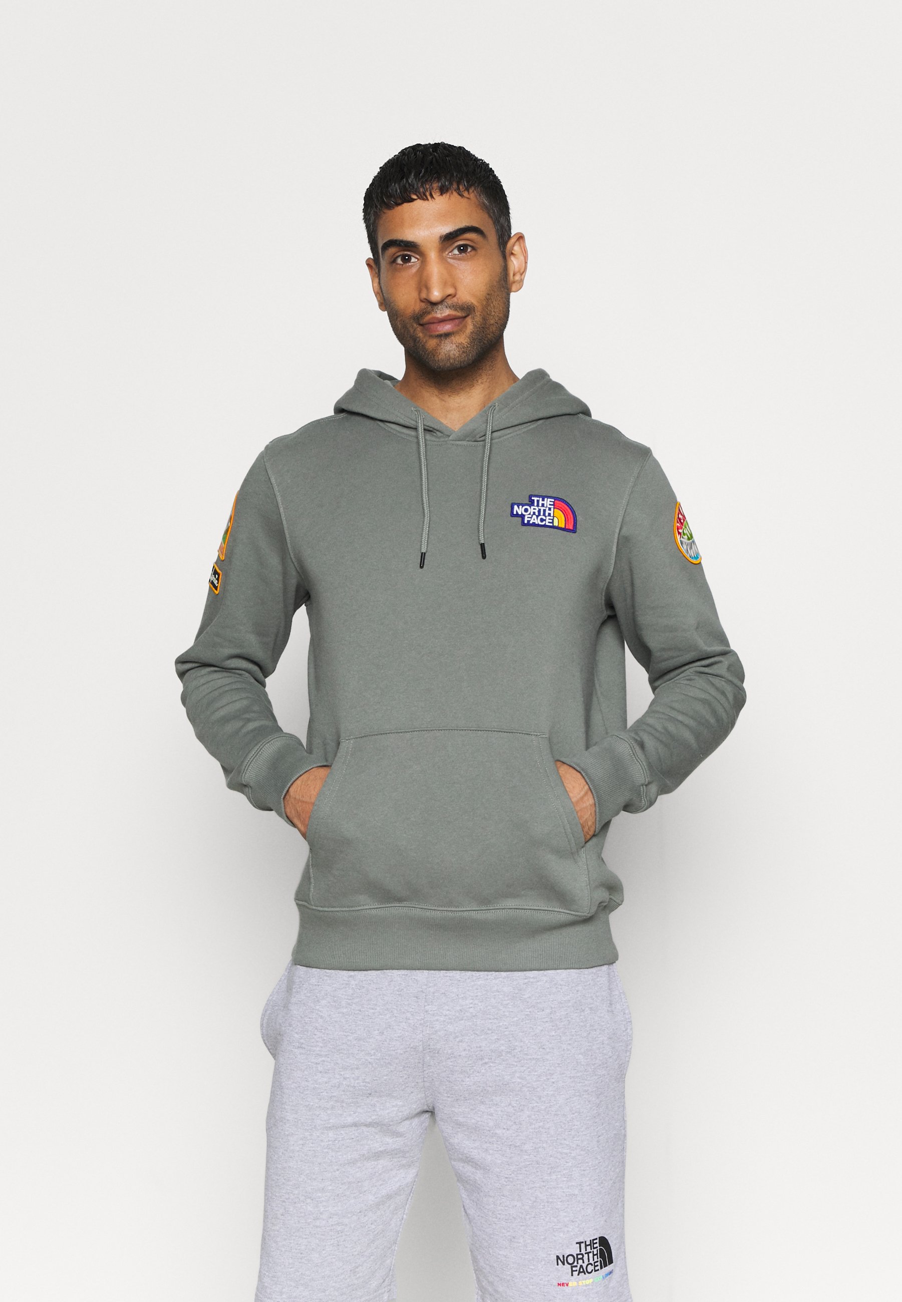 the north face novelty patch hoodie sweatshirt