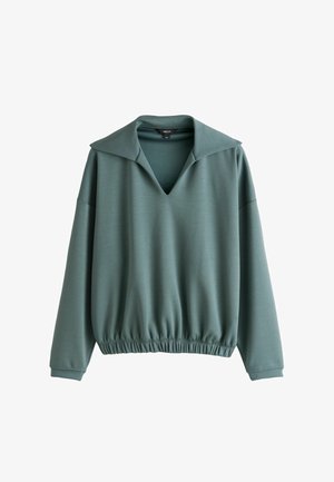 Mīksts zaļš džemperis ar garām piedurknēm, platu atvērtu apkakli un savākto elastīgo jostasvietu, attēlots uz balta fona.