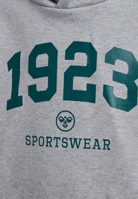Grå hættetrøje med fed, mørkegrøn tekst "1923" og "SPORTSWEAR." Materialet har farverige prikker for tekstur. Rundt logo med bi-design.