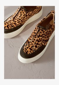 Non sélectionné, animal