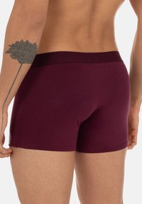 Bruno Banani 6ER PACK RETRO - Boxer brief - schwarz   dunkelrot