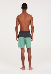 Protest PRTHELI - Shorts da mare - frosty green