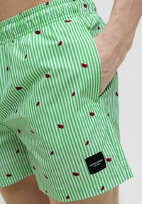 Bañador de rayas verdes con pequeños patrones de sandía, cintura elástica, bolsillo lateral y parche de logo negro. Fabricado con material ligero.