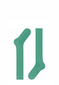 Calze di cotone verde con una consistenza liscia. Include caratteristiche come punta e tallone rinforzati, polsini a coste e un logo stampato sulla suola.
