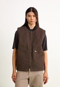 Brown sleeveless vest with a front zipper, ribbed collar, and two front pockets. Worn over a black shirt, paired with striped pants.