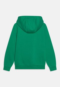 pull nike verte