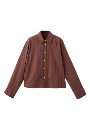 Camicia marrone con bottoni, strisce verticali blu, maniche lunghe e colletto appuntito, mostrata su sfondo bianco.