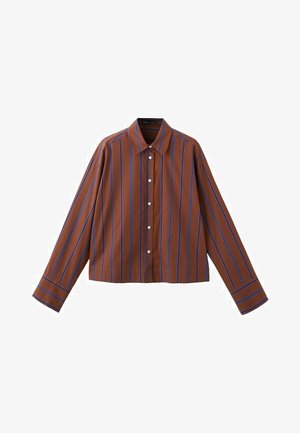 Bruin overhemd met knopen en blauwe verticale strepen, lange mouwen en een puntige kraag, getoond op een witte achtergrond.