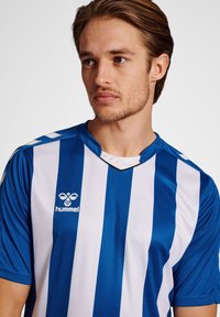 Blå och vitrandig fotbollströja i mjuk tyg. Har en V-halsdesign, korta ärmar och en logotyp på vänster bröst.