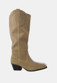 Tamnobež čizme u stilu zapada od brušene kože, srednje visine do lista, s vrškom šiljkom, složenom blok petom i ukrasnim šavovima na jednobojnoj pozadini.