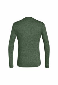 Salewa PUEZ MELANGE DRY TEE - Camisola de manga comprida - grün