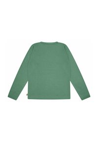 Langemouwenshirt in gedempt groene katoen, met een ronde halslijn en een rechte snit. Zachte textuur zonder zichtbare patronen of versieringen.