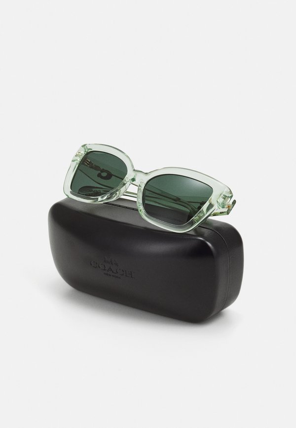 Sunglasses - transparent pistachio2