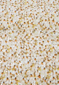 Harpa Sjaal - sand-gold